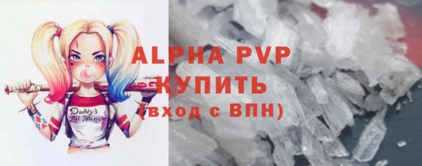 шишки Белоозёрский