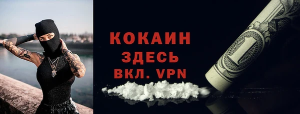 шишки Белоозёрский