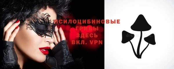 таблы Белокуриха