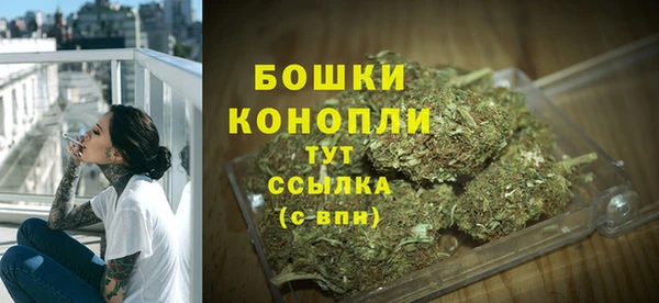 шишки Белоозёрский