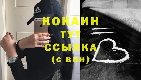 шишки Белоозёрский