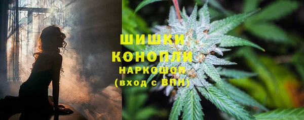 таблы Белокуриха