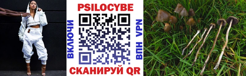 Псилоцибиновые грибы мухоморы  наркотики  Бутурлиновка 
