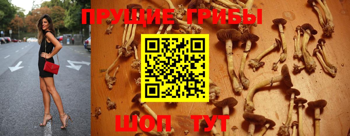 Галлюциногенные грибы ЛСД Бутурлиновка