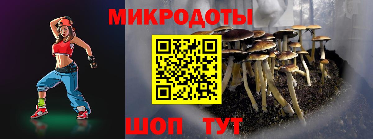 Галлюциногенные грибы мицелий  Бутурлиновка  Псилоцибиновые грибы Psilocybe 